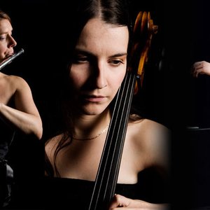 Marsyas Trio 的头像