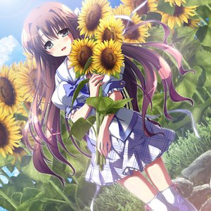 Avatar for 桜井美鈴