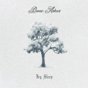 Icy Sleep