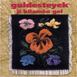 Guldesteyek のアバター