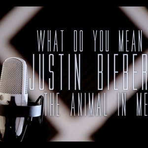 What Do You Mean - Single