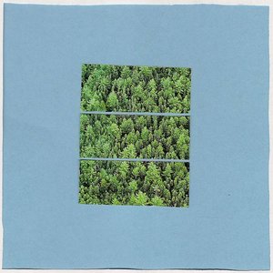 Cover Me Cedars, Cover Me Pines