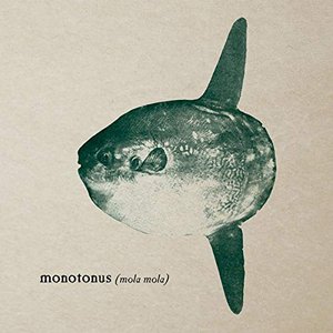 Mola Mola