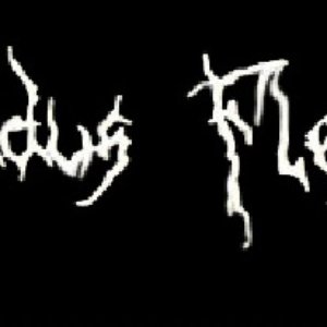 Avatar for Addus Flesh