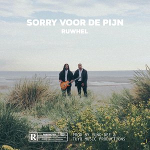 Sorry Voor De Pijn - Single