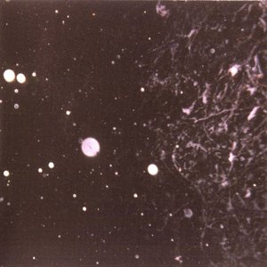 Into Shadows Act II: Through Horned