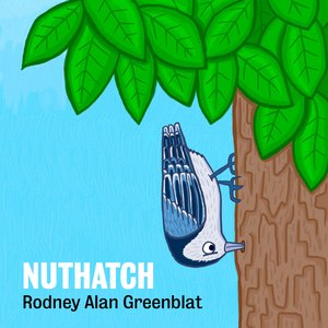 Nuthatch
