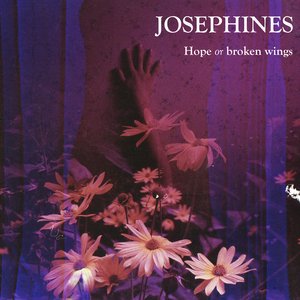 Hope or Broken Wings