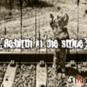 【re:birth in the stripe】