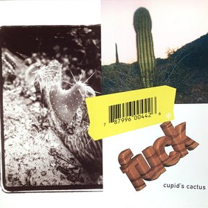 “Cupid's Cactus”的封面