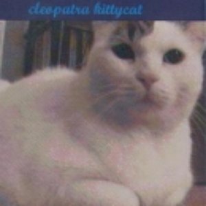 Image for 'Cleopatra Kittycat'