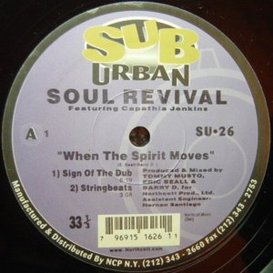 Avatar de soul revival