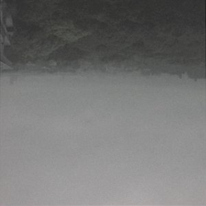 Ecofuturism - Single