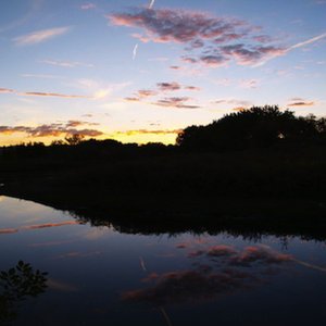 Down By the River Where the Dead Souls Go