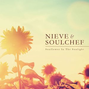 Image for 'Nieve and Soulchef'