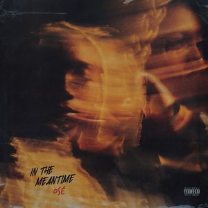 In the Meantime... - Single