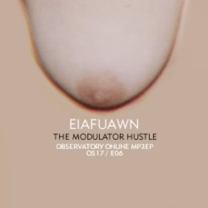 The Modulator Hustle