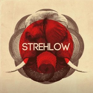 Strehlow 的头像