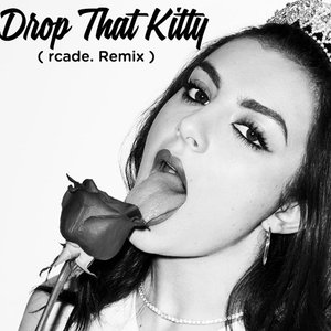 Drop That Kitty (rcade. Remix)