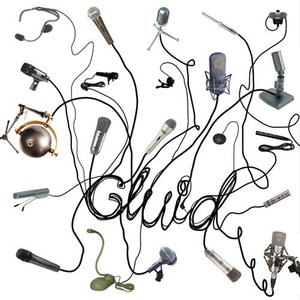 Immagine per 'Gluid'