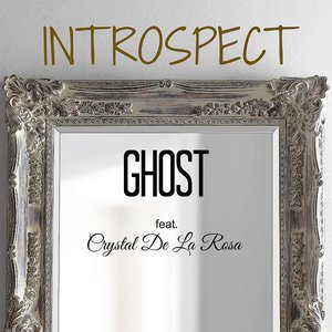 Image for 'Introspect (Single)'