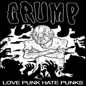 love punk hate punks