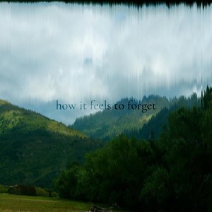 how it feels to forget