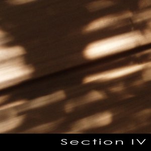 Section IV のアバター