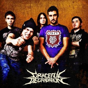 Image pour 'Graceful Degradation'