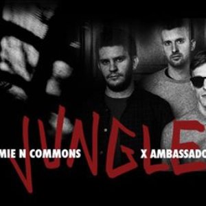 X Ambassadors & Jamie N Commons için avatar