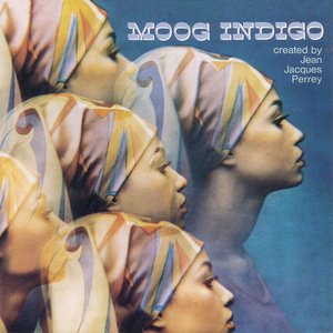 Image for 'Moog Indigo'