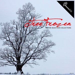 Tree Frozen Winter Selection Collection