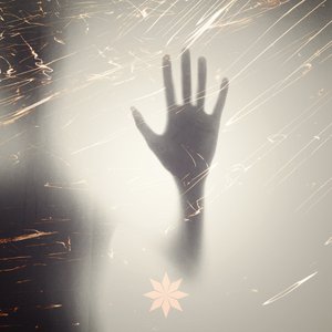 Shadow Whole