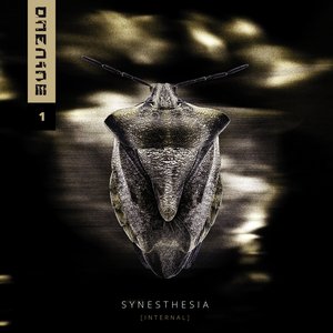 SYNESTHESIA [INTERNAL]
