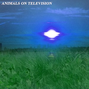 Animals on Television