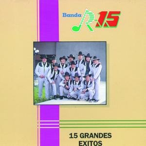 15 Grandes Exitos