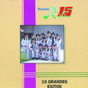 Artwork for Arreando La Mula