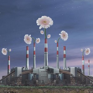 Perfect Season - Single