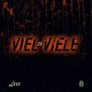 Viel zu viele