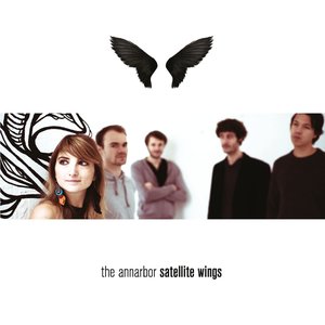 Satellite Wings