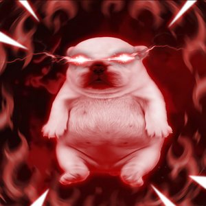 PIBBLE WASH MY BELLY FUNK