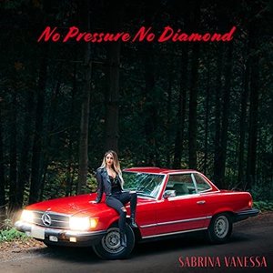 No Pressure No Diamond