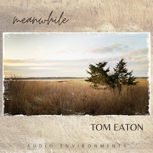 Meanwhile - Single