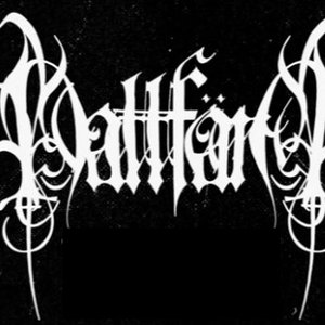 Nattfärd 的头像