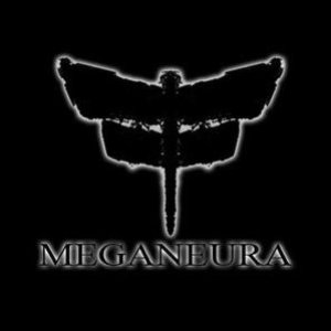 Meganeura