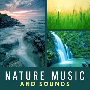 Avatar for Nature Sounds Nature Music