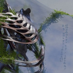 becoming in shadows / of being touched