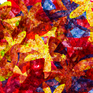 Michel Cleis - Un Dolce - Zortam Music