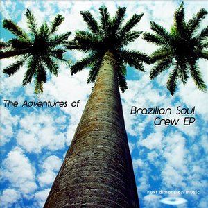 The Adventures Of Brazilian Soul Crew