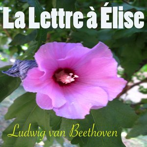 Beethoven: La lettre à Elise, WoO 59 (Piano et environnement naturel Version)
